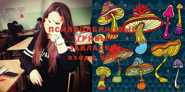 ECSTASY Богданович