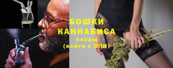 гидра Богородск