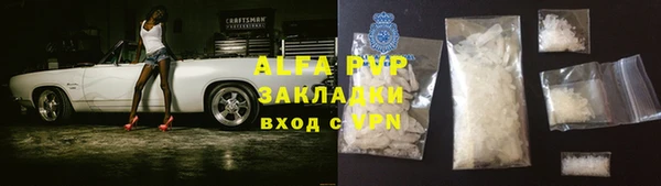 гидра Богородск