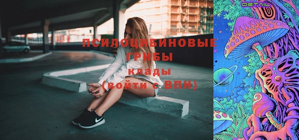 тгк Богородицк