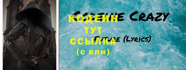 гидра Богородск