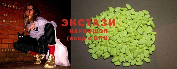 ECSTASY Богданович