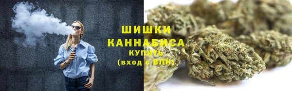 гидра Богородск