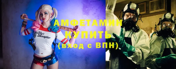 гидра Богородск