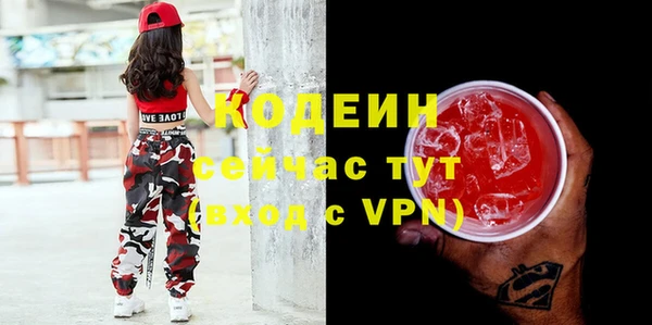 ECSTASY Богданович